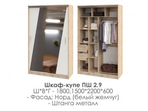 шкаф-купе ПШ-2.9 1500 Норд Белый жемчуг 1500 в Тарко-Сале - tarko-sale.магазин96.com | фото