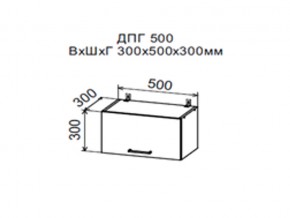 Шкаф верхний ДПГ500 горизонтальный в Тарко-Сале - tarko-sale.магазин96.com | фото