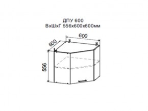 Шкаф верхний ДПУ600 угловой в Тарко-Сале - tarko-sale.магазин96.com | фото